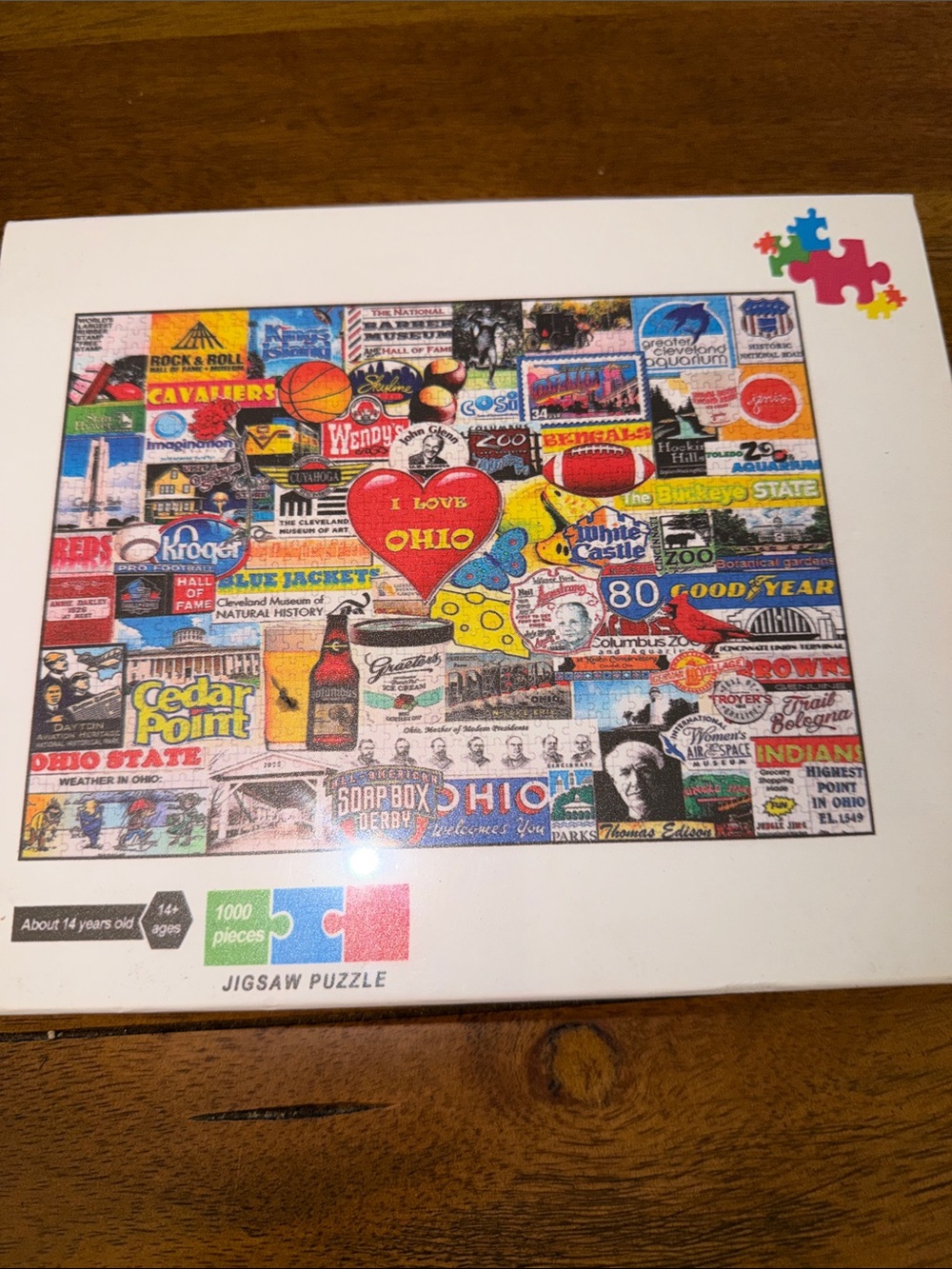 1000-Piece Ohio Collage Jigsaw Puzzle - Multicolor